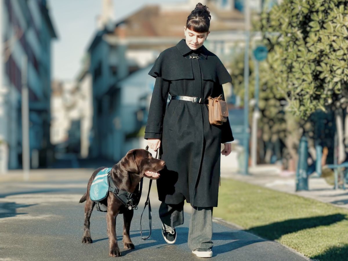 Teil 2 – Assistenz- und medizinische Warnhunde – Lorine und Titus